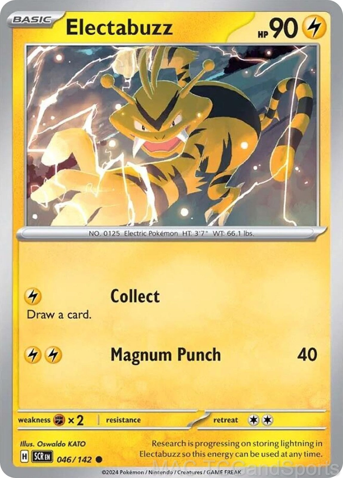 Electabuzz 046/142 Reverse Holo