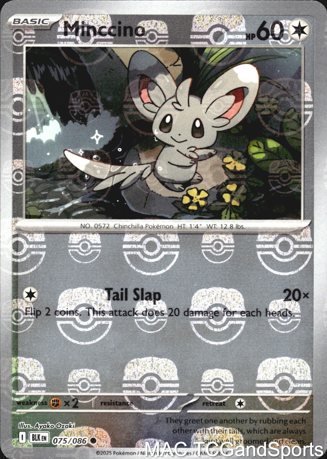 Minccino (Master Ball Pattern) 075/086 Holo Black Bolt Pokemon TCG NM