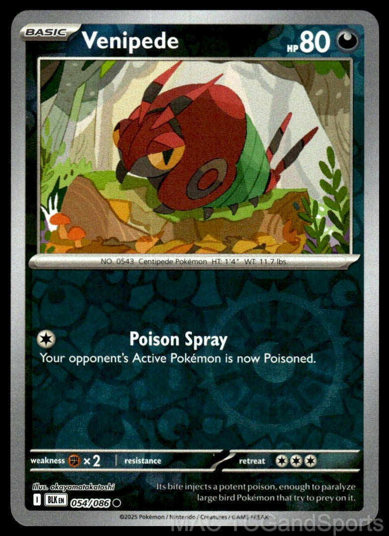 Venipede 054/086 Reverse Holo
