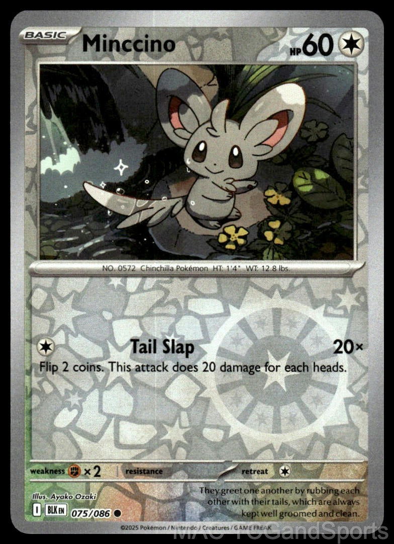 Minccino 075/086 Reverse Holo