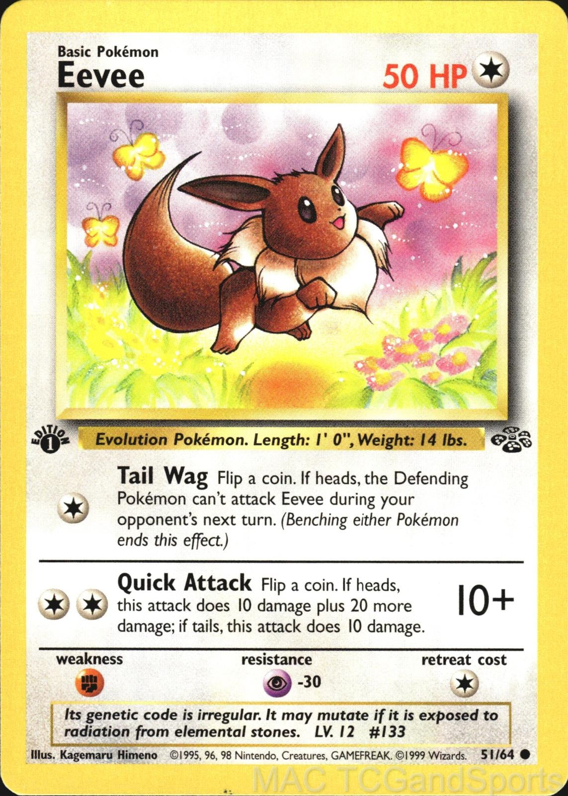 Eevee 51/64 1st Edition Jungle Pokemon TCG LP