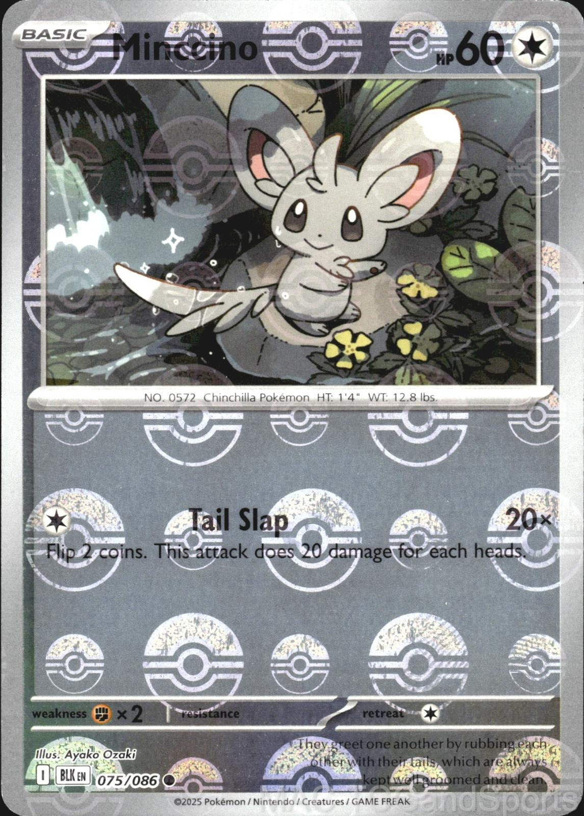 Minccino (Poke Ball Pattern) 075/086 Holo Black Bolt Pokemon TCG NM