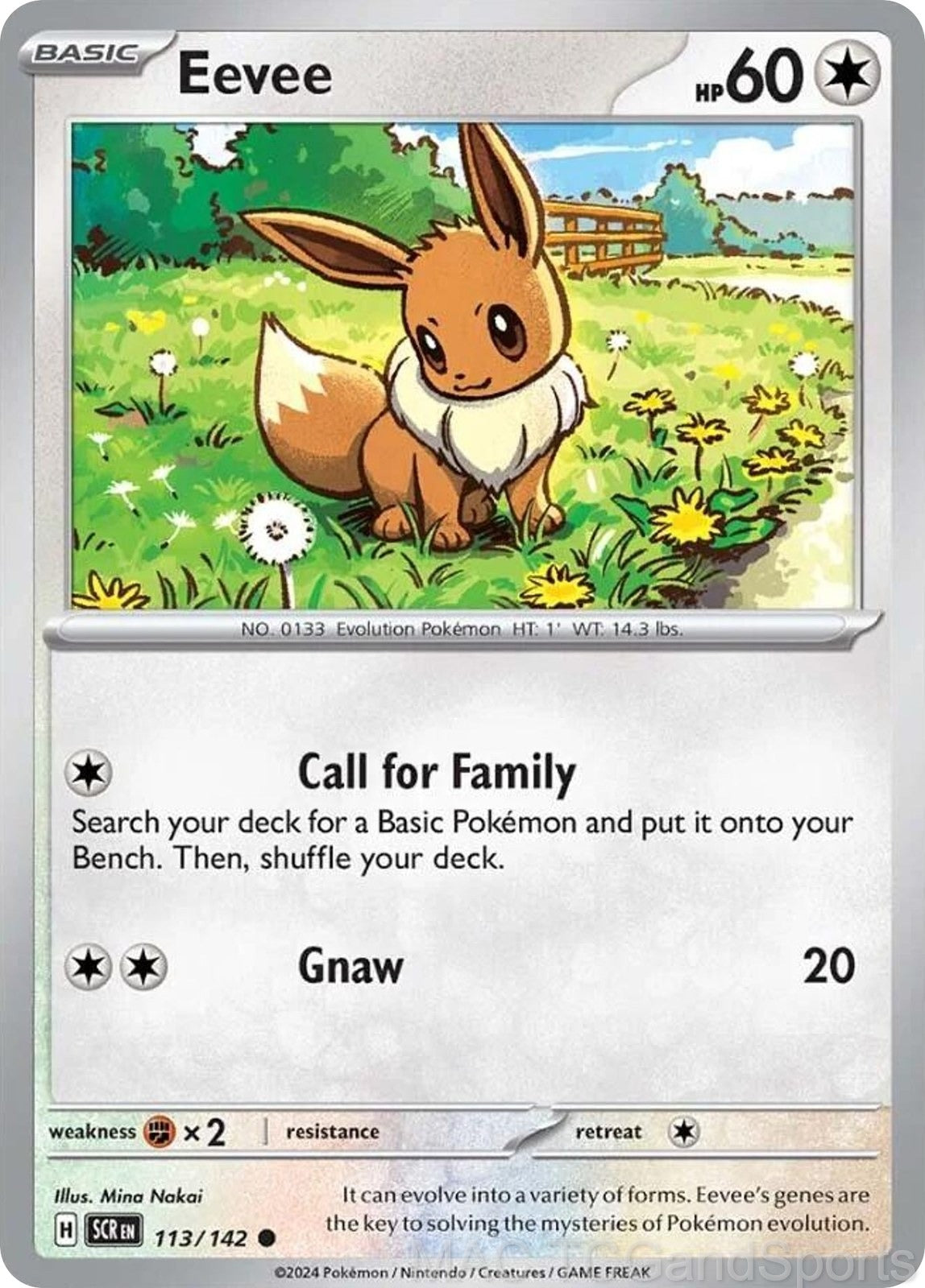 Eevee 113/142 Reverse Holo