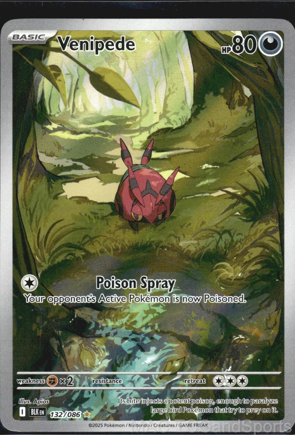 Venipede 132/086 Holo Black Bolt Pokemon TCG NM