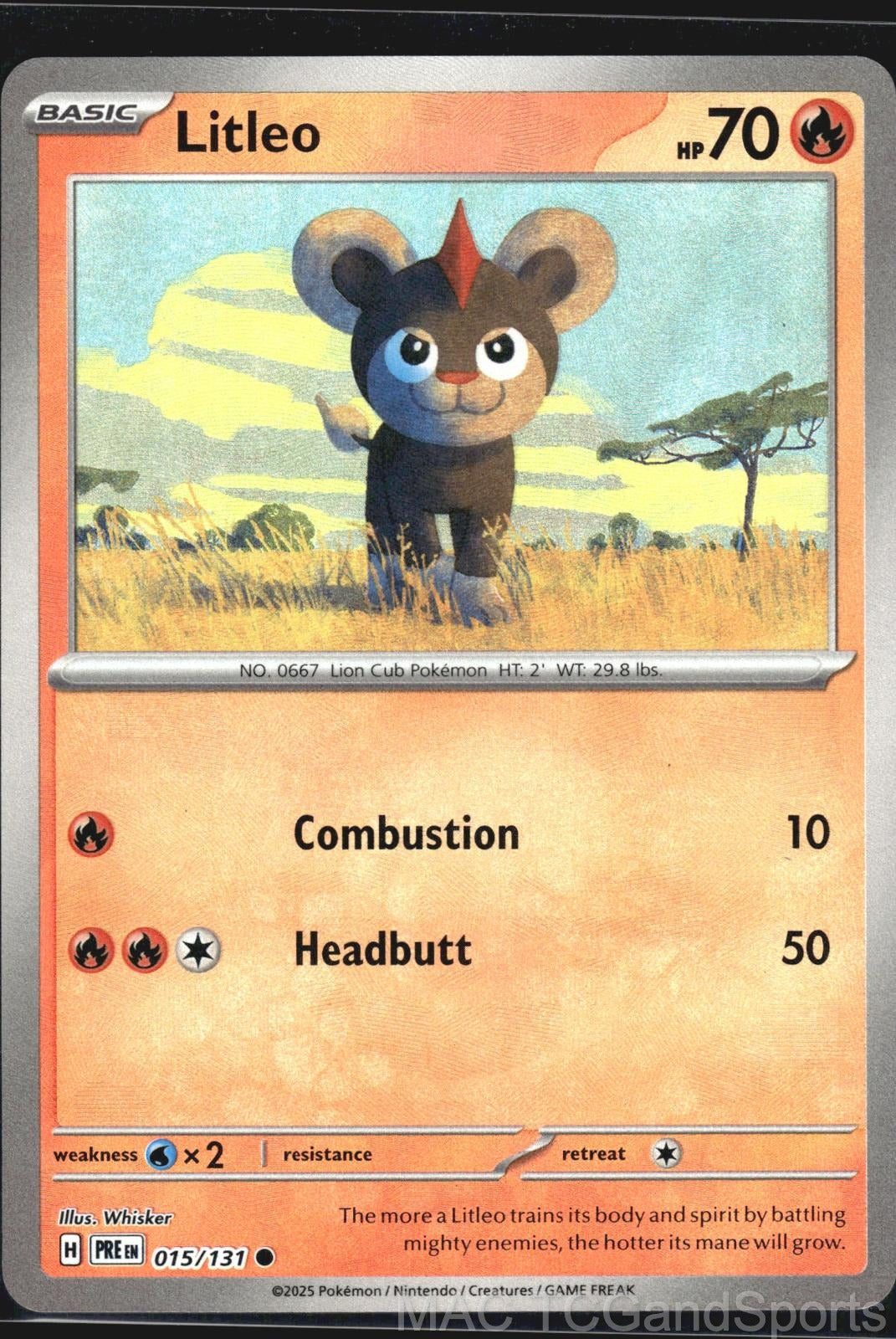 Litleo (Poke Ball Pattern) 015/131 Holo Prismatic Evolutions Pokemon TCG NM