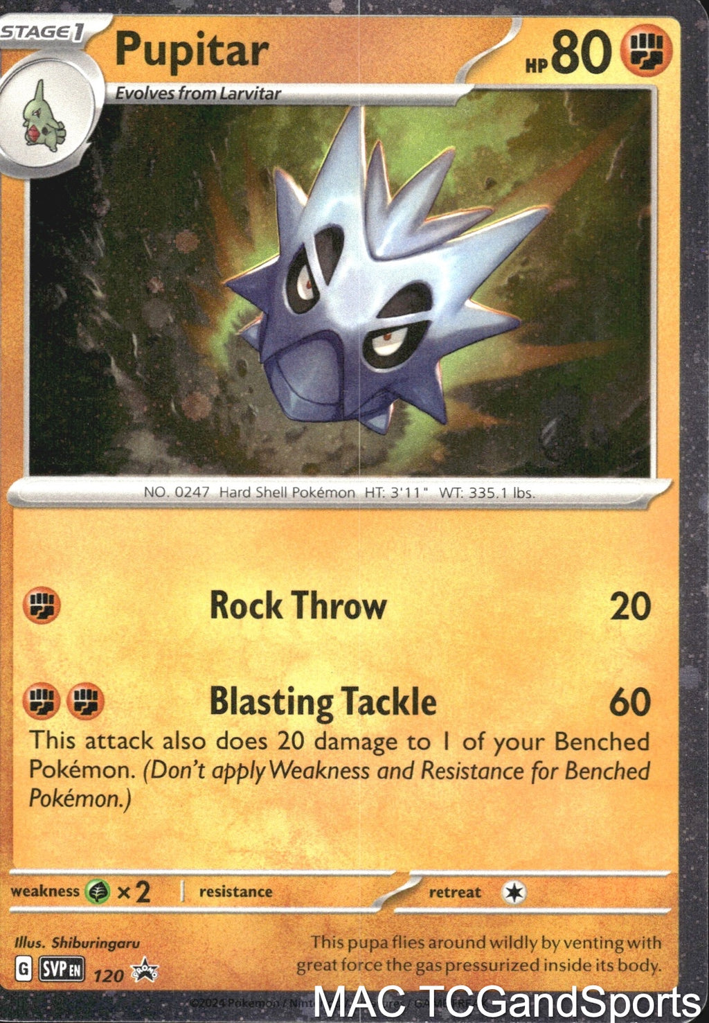 Pupitar (Cosmos Holo) 106/197 Pokemon TCG NM