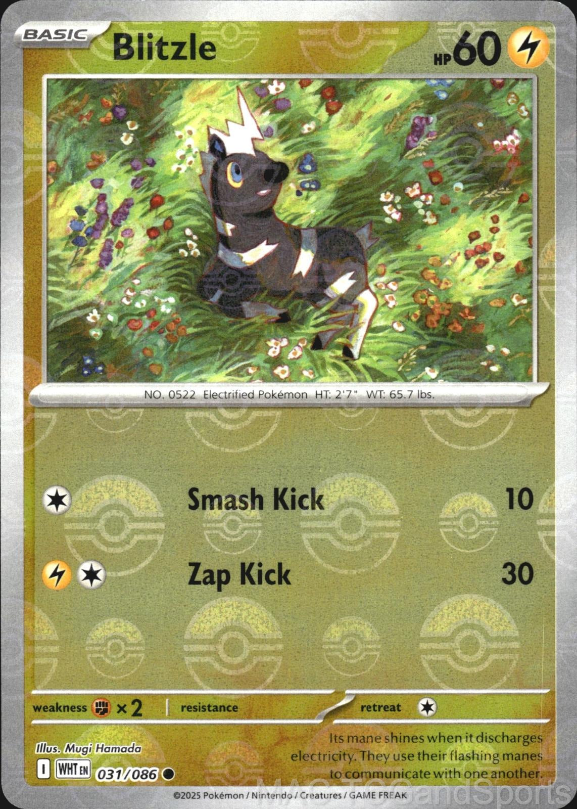 Blitzle (Poke Ball Pattern) 031/086 Holo White Flare Pokemon TCG NM