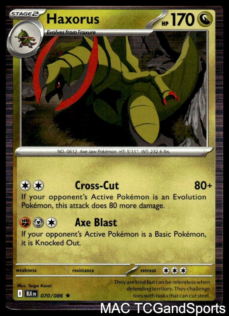 Haxorus 070/086 Holo