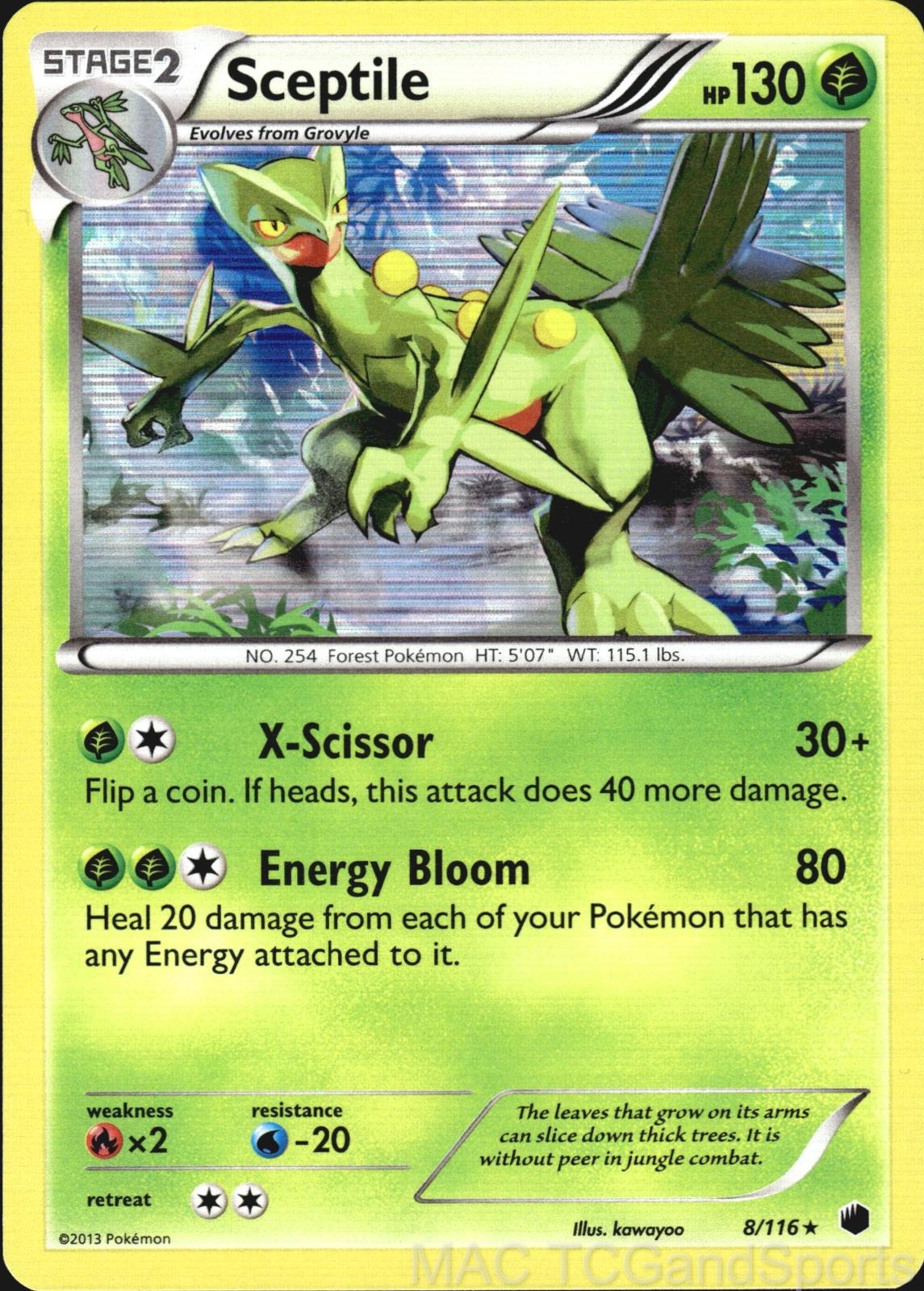 Sceptile 8/116 Holo Plasma Freeze Pokemon TCG LP