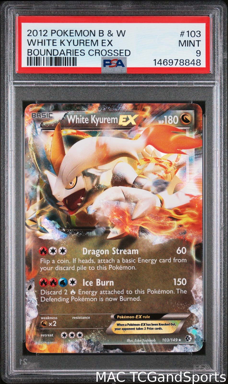 White Kyurem EX 103/149 Boundaries Crossed Pokemon PSA 9