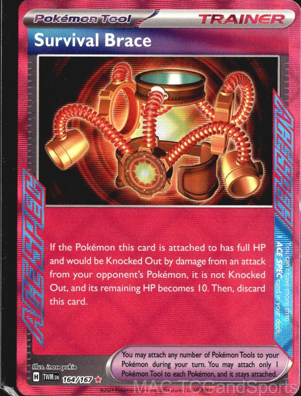 Survival Brace 164/167 Holo Twilight Masquerade Pokemon TCG NM