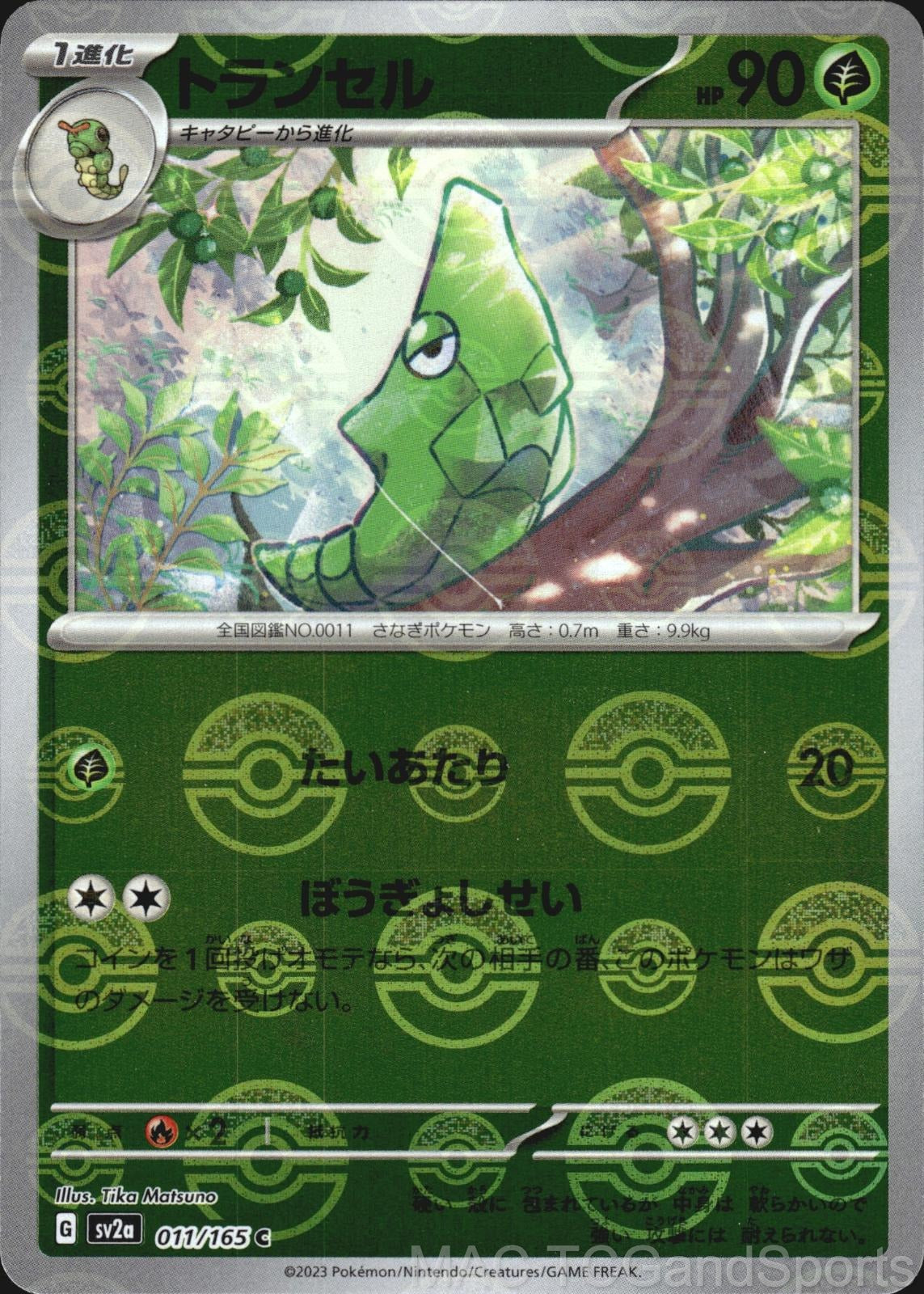 Metapod (Poke Ball) 011/165 Holo SV2a: Pokemon Card 151 Pokemon TCG Japanese NM