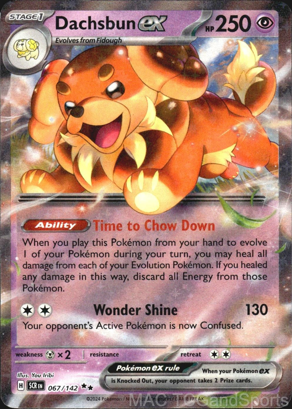 Dachsbun ex 067/142 Holo Stellar Crown Pokemon TCG NM