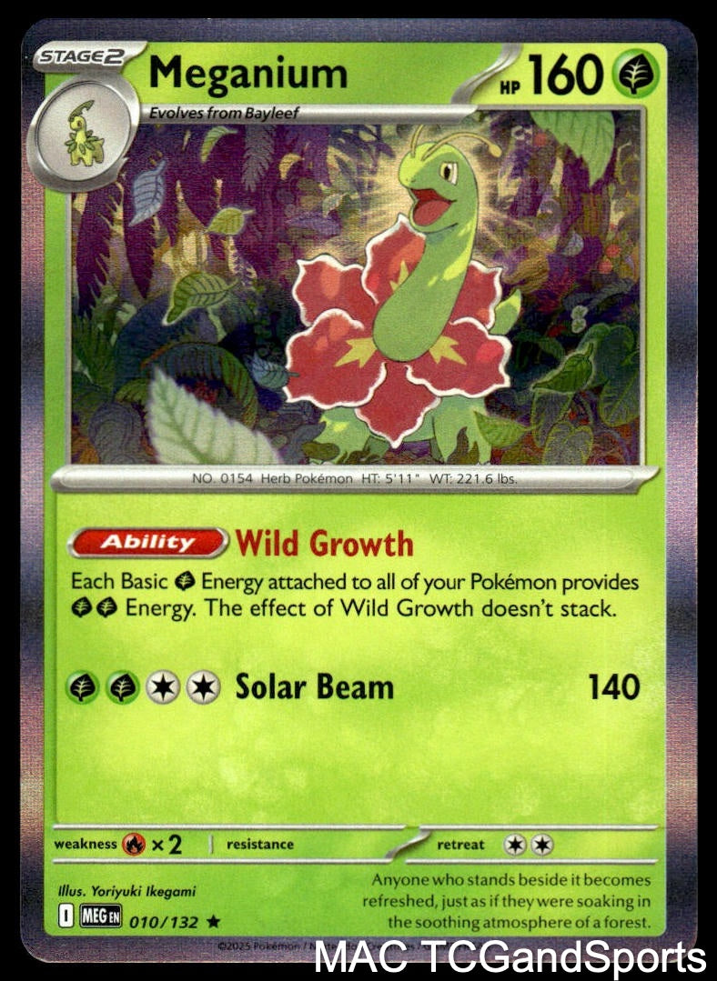 Meganium 010/132 Holo